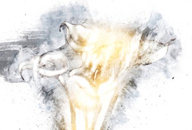 Resim resimli klasik arkaplan