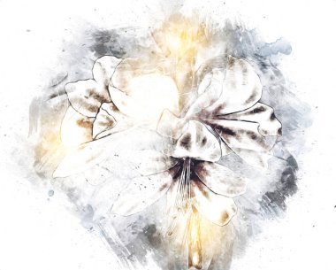 Resim resimli klasik arkaplan