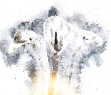 Resim resimli klasik arkaplan