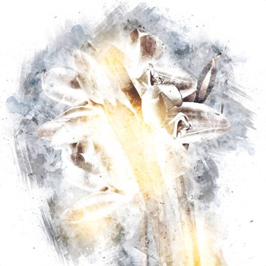 Resim resimli klasik arkaplan