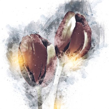 Resim resimli klasik arkaplan