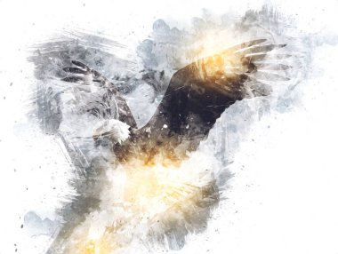 Kel kartal el çizimi ve beyaz arkaplan çizimi üzerine çullanır