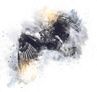 Kel kartal el çizimi ve beyaz arkaplan çizimi üzerine çullanır