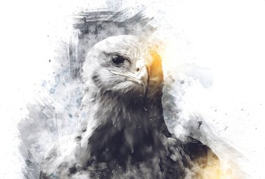 Kel kartal el çizimi ve beyaz arkaplan çizimi üzerine çullanır
