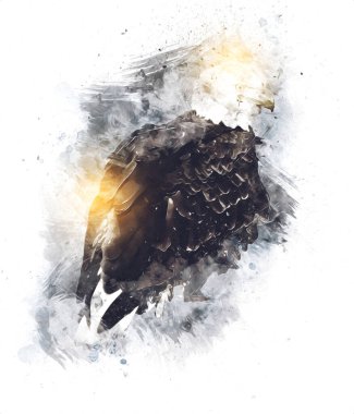 Kel kartal el çizimi ve beyaz arkaplan çizimi üzerine çullanır