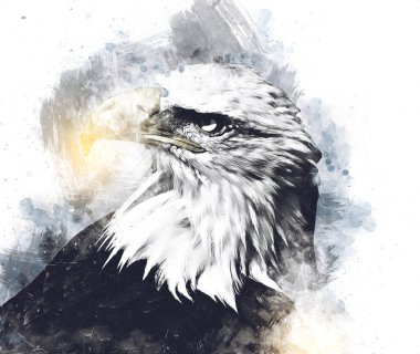 Kel kartal el çizimi ve beyaz arkaplan çizimi üzerine çullanır