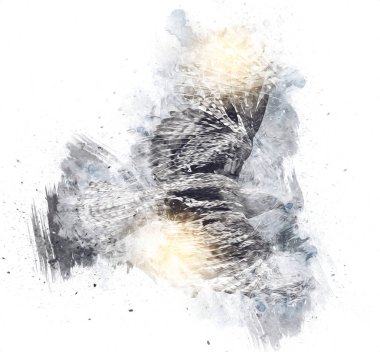 Falcon, arka plan illüstrasyonuna el çizimi ve boya rengi, şahin klasik retro