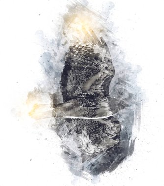 Falcon, arka plan illüstrasyonuna el çizimi ve boya rengi, şahin klasik retro