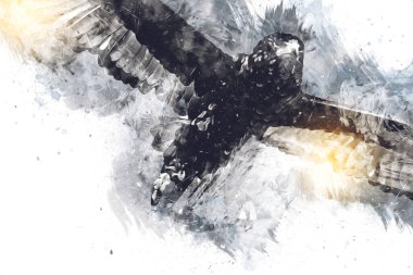 Falcon, arka plan illüstrasyonuna el çizimi ve boya rengi, şahin klasik retro