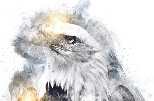 Bald Eagle Swoop Lądowania Strony Rysunku Farby Białym Tle Ilustracji — Zdjęcie stockowe