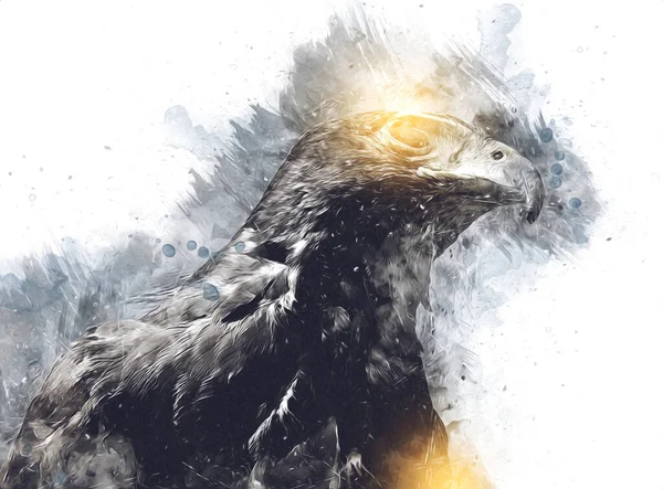 Falcon, arka plan illüstrasyonuna el çizimi ve boya rengi, şahin klasik retro