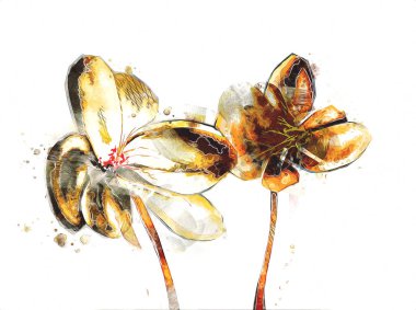 Resim resimli klasik arkaplan