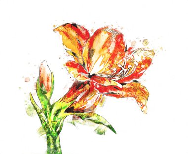 Resim resimli klasik arkaplan