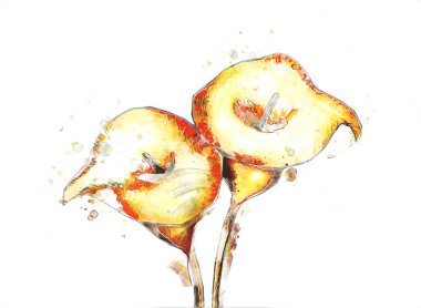 Resim resimli klasik arkaplan