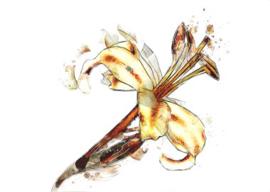 Resim resimli klasik arkaplan