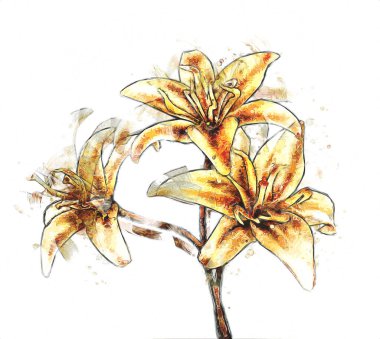 Resim resimli klasik arkaplan