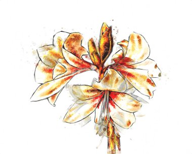 Resim resimli klasik arkaplan