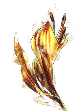 Resim resimli klasik arkaplan