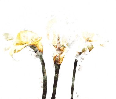 Resim resimli klasik arkaplan