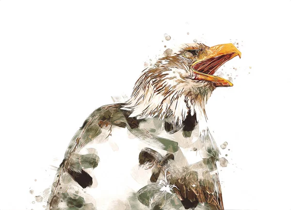 Weißkopfseeadler Schwingen Landung Hand Zeichnen Und Malen Auf Weißem Hintergrund — Stockfoto