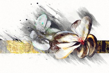 Resim resimli klasik arkaplan