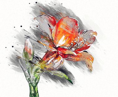 Resim resimli klasik arkaplan