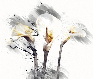 Resim resimli klasik arkaplan