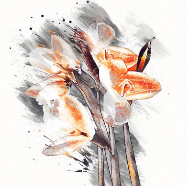 Resim resimli klasik arkaplan