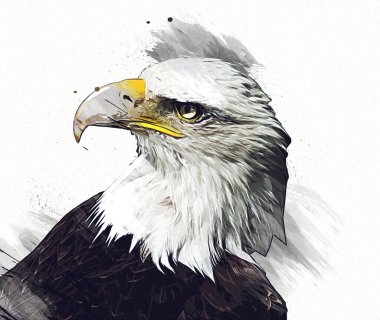 Kel kartal el çizimi ve beyaz arkaplan çizimi üzerine çullanır