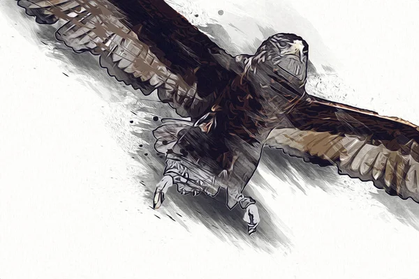 ファルコン着陸スワップ手を描くと背景イラストに色をペイント ホークヴィンテージレトロ — ストック写真