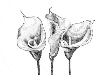 Resim resimli klasik arkaplan