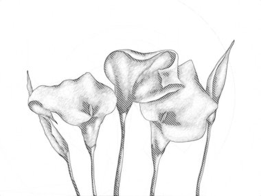 Resim resimli klasik arkaplan