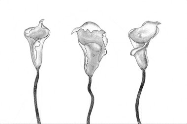 Resim resimli klasik arkaplan