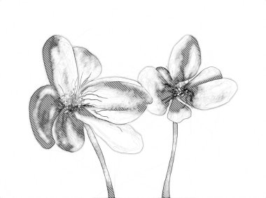 Resim resimli klasik arkaplan