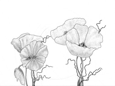 Resim resimli klasik arkaplan