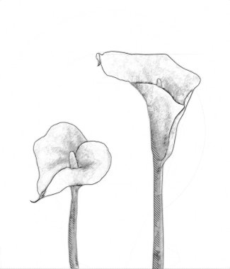 Resim resimli klasik arkaplan