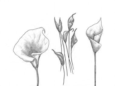 Resim resimli klasik arkaplan