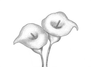 Resim resimli klasik arkaplan