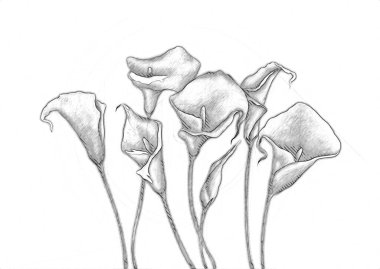 Resim resimli klasik arkaplan