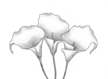 Resim resimli klasik arkaplan