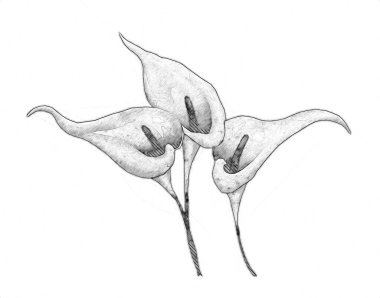 Resim resimli klasik arkaplan