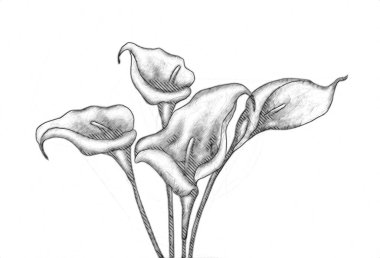 Resim resimli klasik arkaplan