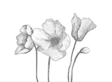 Resim resimli klasik arkaplan