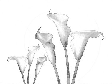 Resim resimli klasik arkaplan