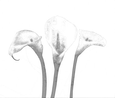 Resim resimli klasik arkaplan