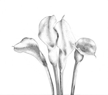 Resim resimli klasik arkaplan