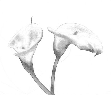 Resim resimli klasik arkaplan