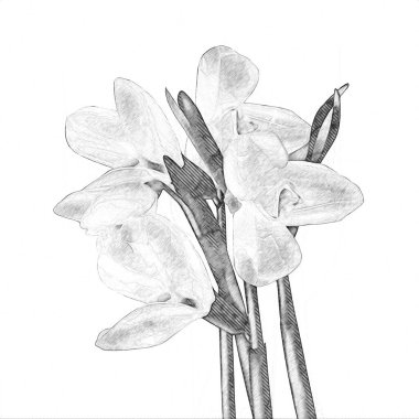 Resim resimli klasik arkaplan