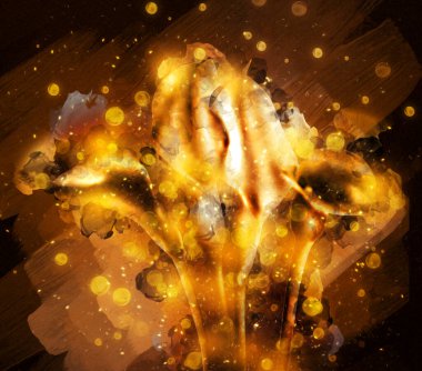 Resim resimli klasik arkaplan