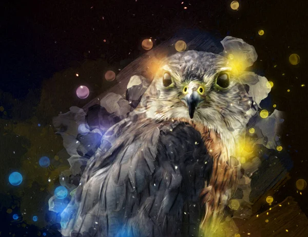 Falcon Aterrizaje Swoop Mano Dibujar Pintar Color Ilustración Fondo Halcón — Foto de Stock